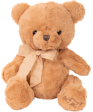 babys teddy